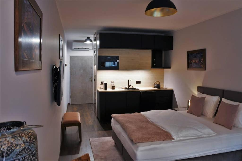 Boutique 109 - Old City, Luxury Apt. With A Garage Krakau